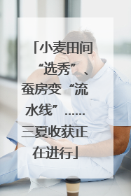 小麦田间“选秀”、蚕房变“流水线”……三夏收获正在进行