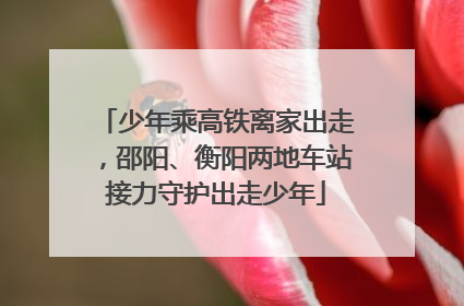 少年乘高铁离家出走，邵阳、衡阳两地车站接力守护出走少年