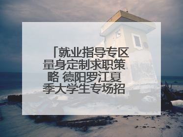 就业指导专区量身定制求职策略 德阳罗江夏季大学生专场招聘会成功举办