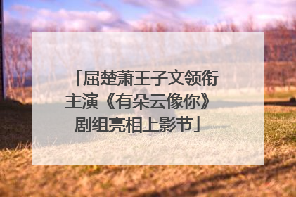屈楚萧王子文领衔主演《有朵云像你》剧组亮相上影节