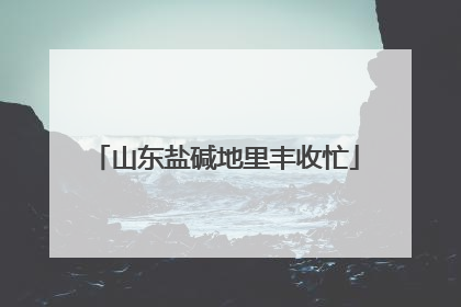 山东盐碱地里丰收忙