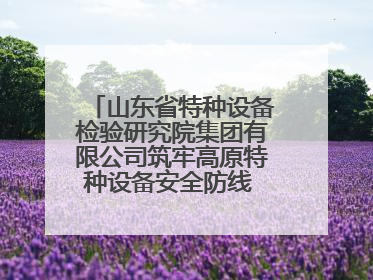 山东省特种设备检验研究院集团有限公司筑牢高原特种设备安全防线 共绘拉萨美好生活画卷