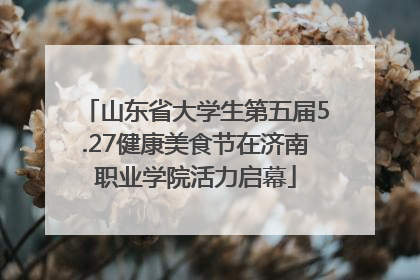 山东省大学生第五届5.27健康美食节在济南职业学院活力启幕