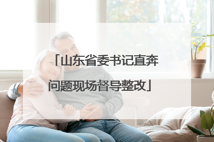 山东省委书记直奔问题现场督导整改