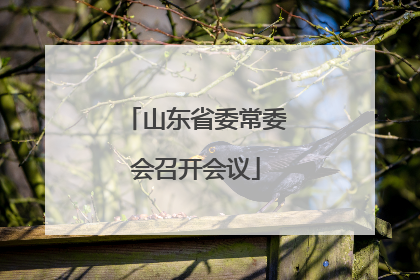 山东省委常委会召开会议