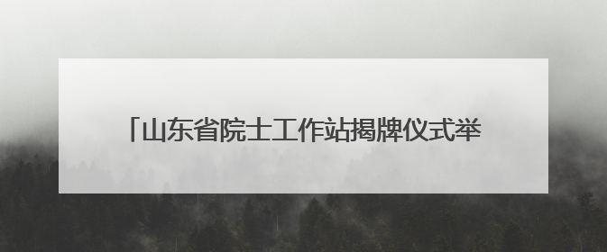 山东省院士工作站揭牌仪式举行 张联盟院士团队现场助阵