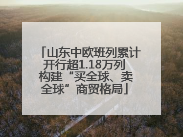 山东中欧班列累计开行超1.18万列 构建“买全球、卖全球”商贸格局