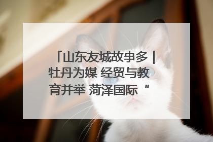 山东友城故事多｜牡丹为媒 经贸与教育并举 菏泽国际“朋友圈”扩容升级