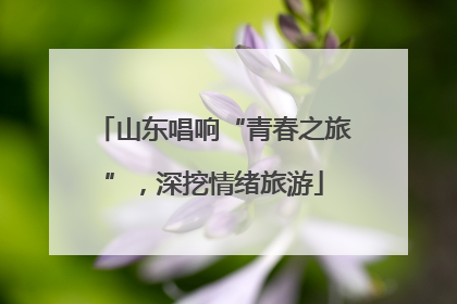 山东唱响“青春之旅”，深挖情绪旅游
