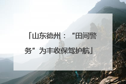 山东德州：“田间警务”为丰收保驾护航