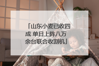 山东小麦已收四成 单日上阵八万余台联合收割机