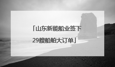 山东新能船业签下29艘船舶大订单