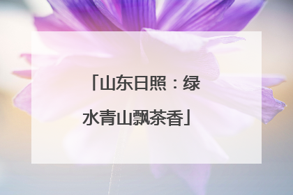 山东日照：绿水青山飘茶香