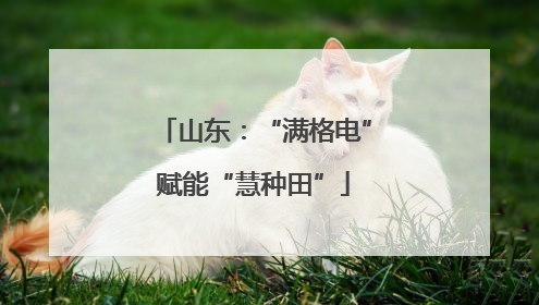 山东：“满格电”赋能“慧种田”