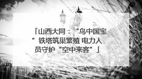 山西大同：“鸟中国宝”铁塔筑巢繁殖 电力人员守护“空中来客”