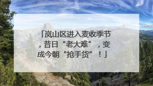 岚山区进入麦收季节，昔日“老大难”，变成今朝“抢手货”！