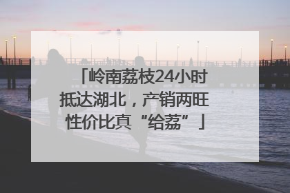 岭南荔枝24小时抵达湖北，产销两旺性价比真“给荔”