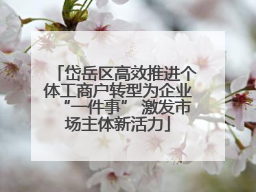 岱岳区高效推进个体工商户转型为企业“一件事” 激发市场主体新活力