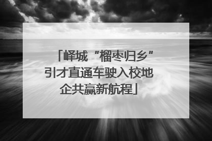 峄城“榴枣归乡”引才直通车驶入校地企共赢新航程