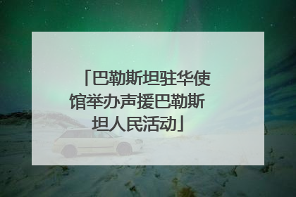 巴勒斯坦驻华使馆举办声援巴勒斯坦人民活动