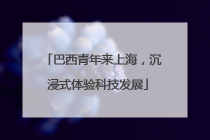 巴西青年来上海，沉浸式体验科技发展