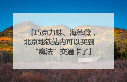 巧克力蛙、海德薇，北京地铁站内可以买到“魔法”交通卡了