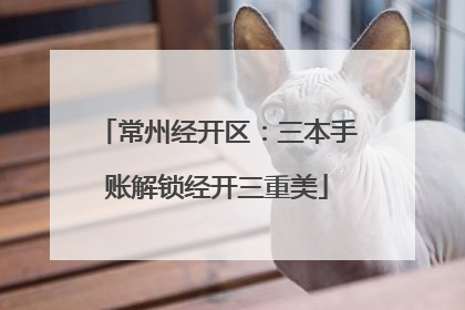 常州经开区：三本手账解锁经开三重美