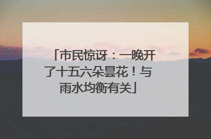 市民惊讶：一晚开了十五六朵昙花！与雨水均衡有关
