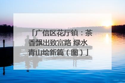 广信区花厅镇：茶香飘出致富路 绿水青山绘新篇（图）
