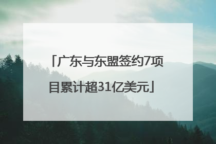 广东与东盟签约7项目累计超31亿美元