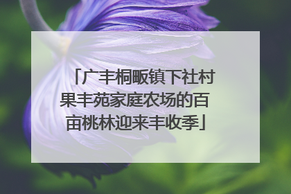 广丰桐畈镇下社村果丰苑家庭农场的百亩桃林迎来丰收季