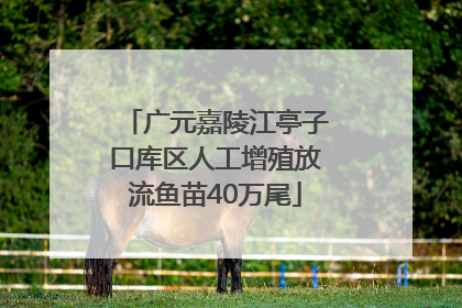 广元嘉陵江亭子口库区人工增殖放流鱼苗40万尾