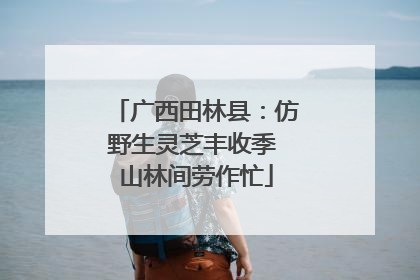 广西田林县：仿野生灵芝丰收季 山林间劳作忙