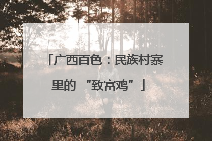 广西百色：民族村寨里的 “致富鸡”