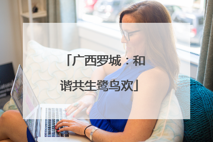 广西罗城：和谐共生鹭鸟欢