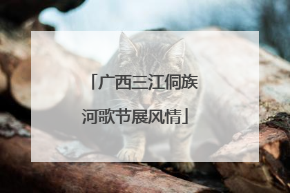 广西三江侗族河歌节展风情