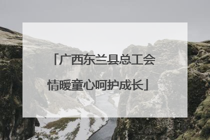 广西东兰县总工会情暖童心呵护成长