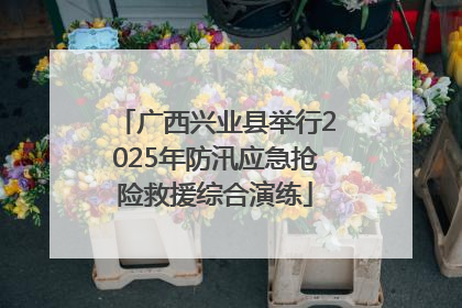 广西兴业县举行2025年防汛应急抢险救援综合演练