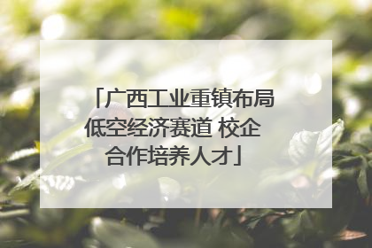 广西工业重镇布局低空经济赛道 校企合作培养人才