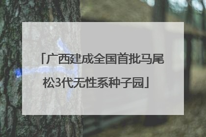 广西建成全国首批马尾松3代无性系种子园