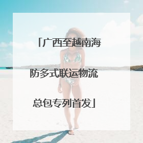 广西至越南海防多式联运物流总包专列首发