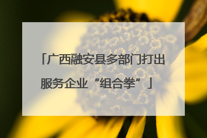广西融安县多部门打出服务企业“组合拳”