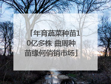 年育蔬菜种苗10亿多株 曲周种苗缘何俏销市场