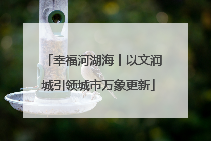 幸福河湖海丨以文润城引领城市万象更新