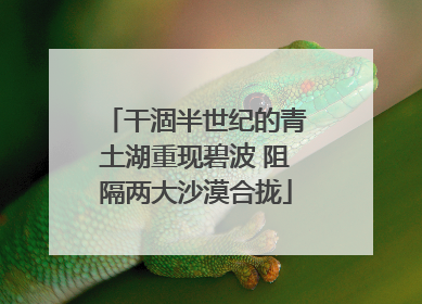 干涸半世纪的青土湖重现碧波 阻隔两大沙漠合拢
