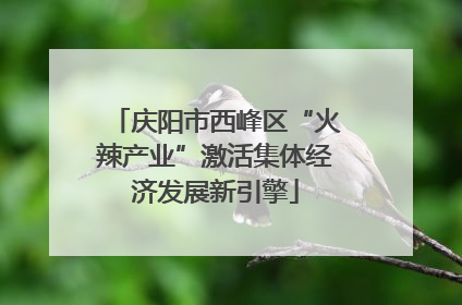 庆阳市西峰区“火辣产业”激活集体经济发展新引擎