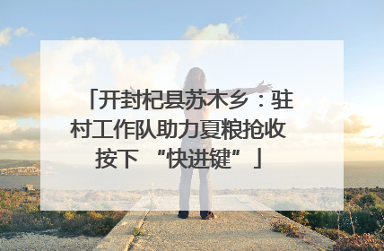 开封杞县苏木乡：驻村工作队助力夏粮抢收按下 “快进键”