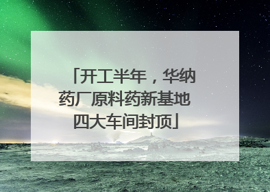 开工半年，华纳药厂原料药新基地四大车间封顶