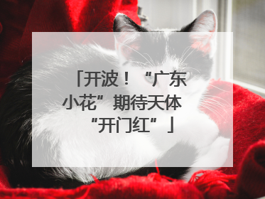 开波！“广东小花”期待天体“开门红”