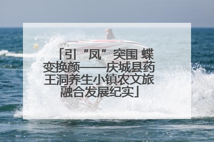 引“凤”突围 蝶变换颜——庆城县药王洞养生小镇农文旅融合发展纪实
